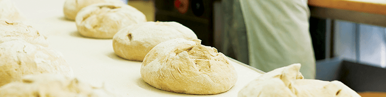 banner-haccp