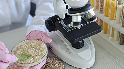 Card CTA Food Graos Sementes