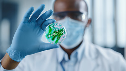 Card CTA Food Microbiologia