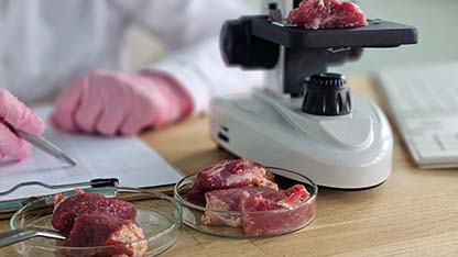 Card Food Analise Microbiologica