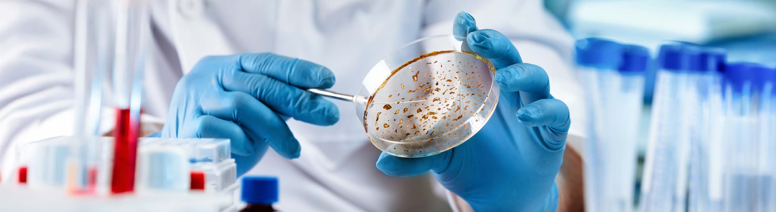 Ambiental Analises Microbiologicas