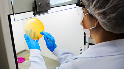 Card CTA Food Microscopicas