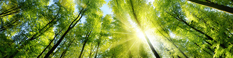banner-zero-wate-landfill