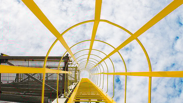 Yellow-ladder