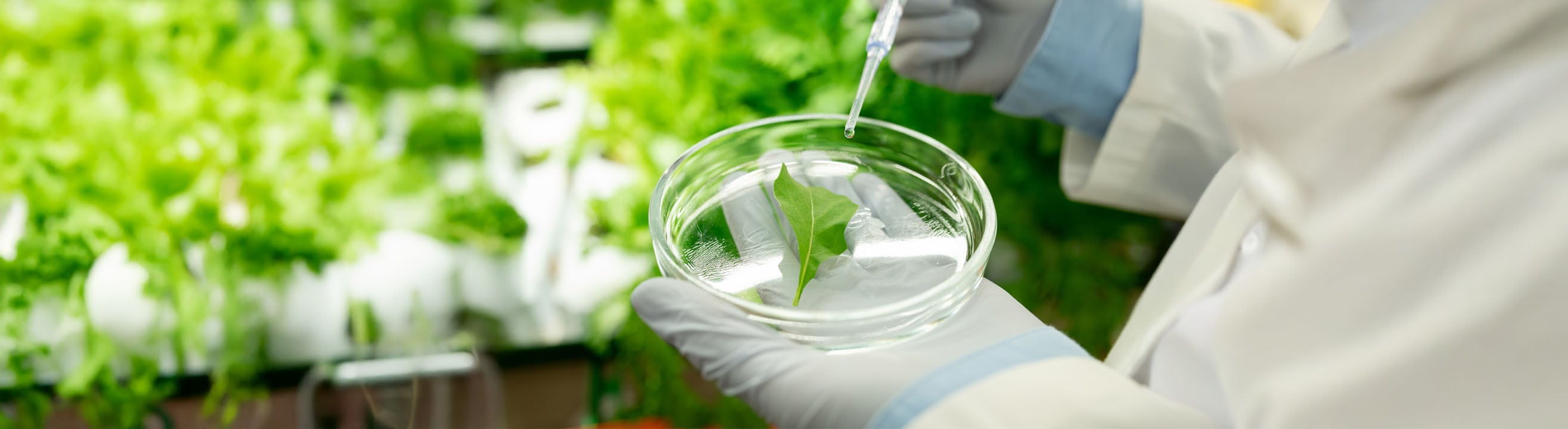 Agrosciencies Analises de Residuos de Defensivos Agricolas