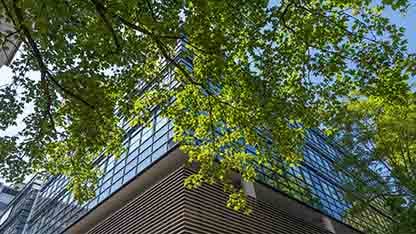 Capa BA ISO 14001 2026