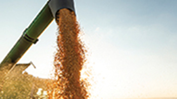 Banner Agricultura Cadeia Produtiva